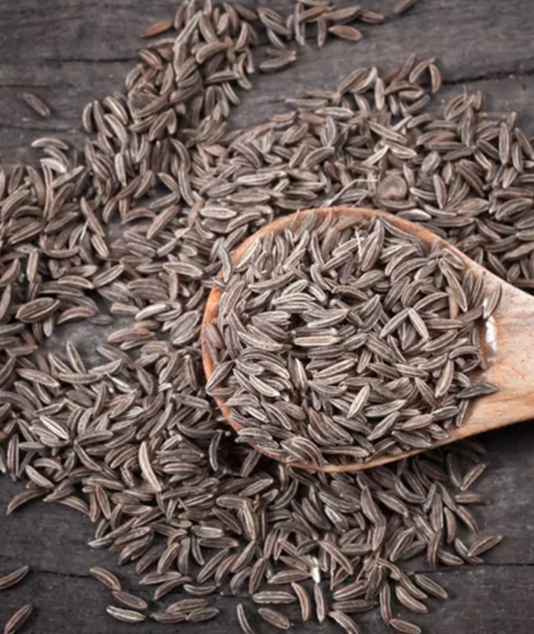 Cumin seeds