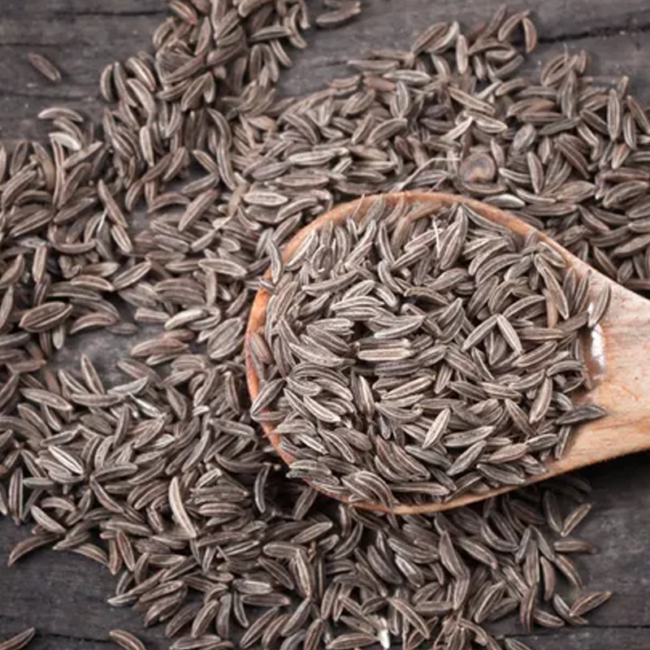 Cumin seeds