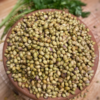 Coriander