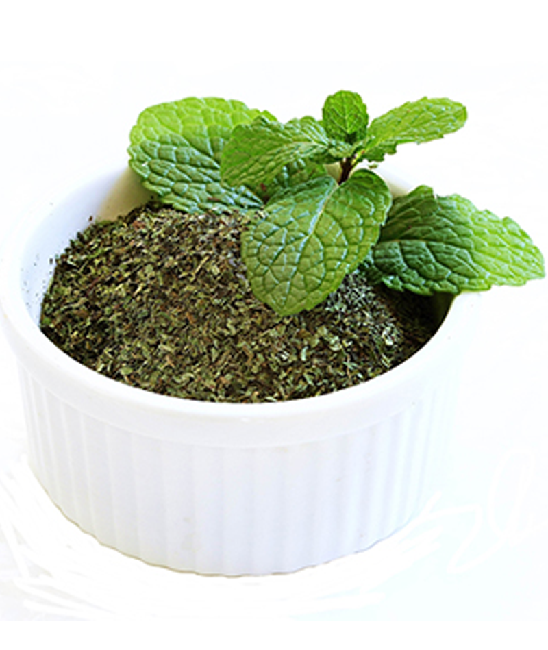 Mint Leaves Powder - Shreena Enterprise