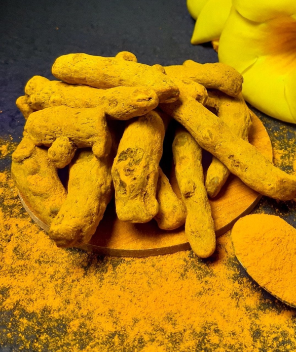 turmeric manufacturers in india