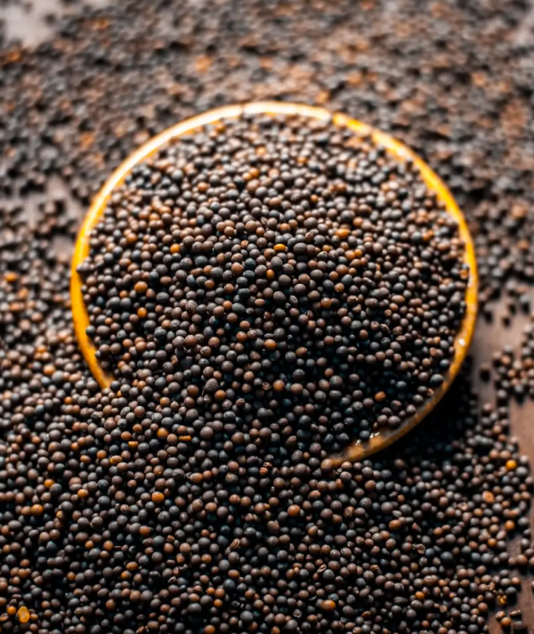 Mustard Seed