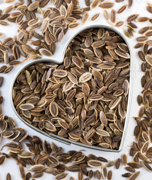 Dill Seeds - Suva