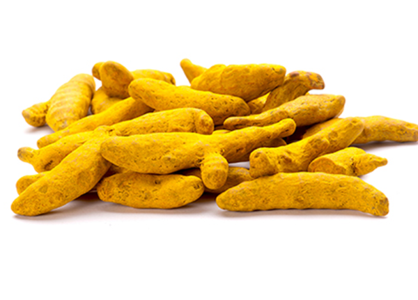 turmeric powder suppliers