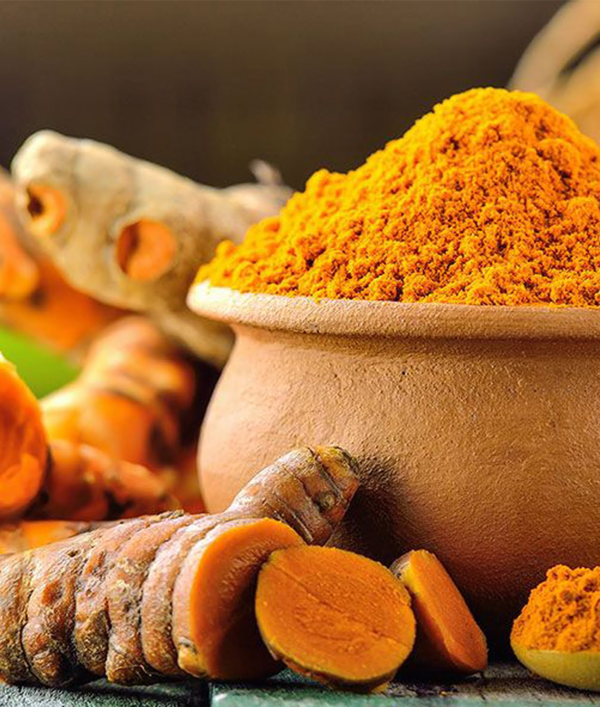 turmeric powder wholesaler India